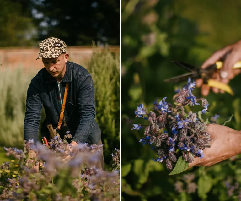 Infusions Grown for Exquisite Flavor